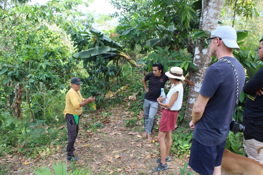 Finca de Café Minca