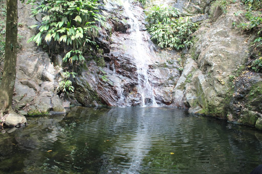 Cascada Escondida Minca