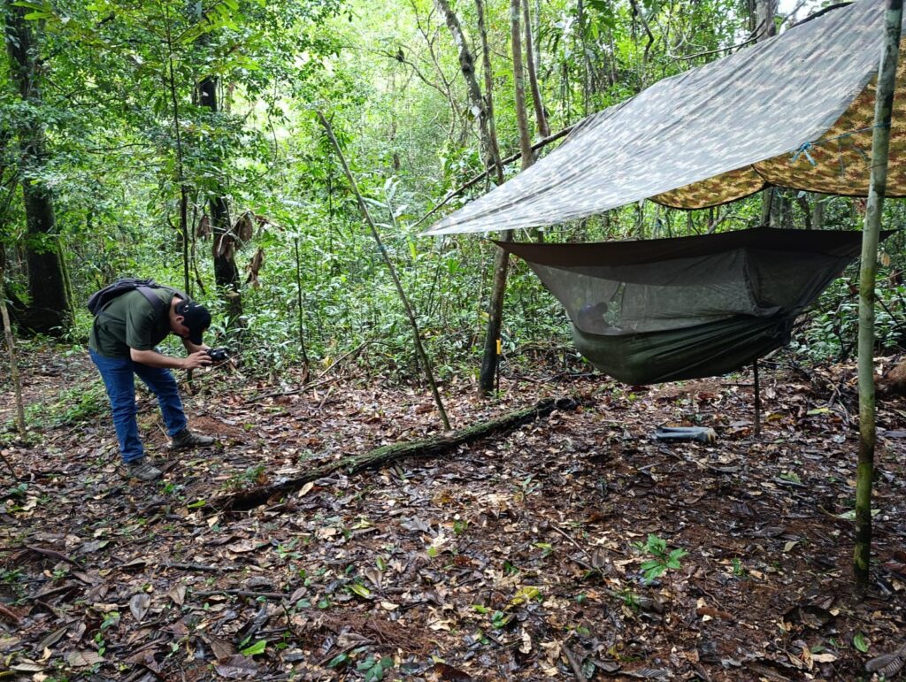 Campamento selvático con hamacas y techo de palma en el Amazonas colombiano